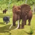 大象生存大作战